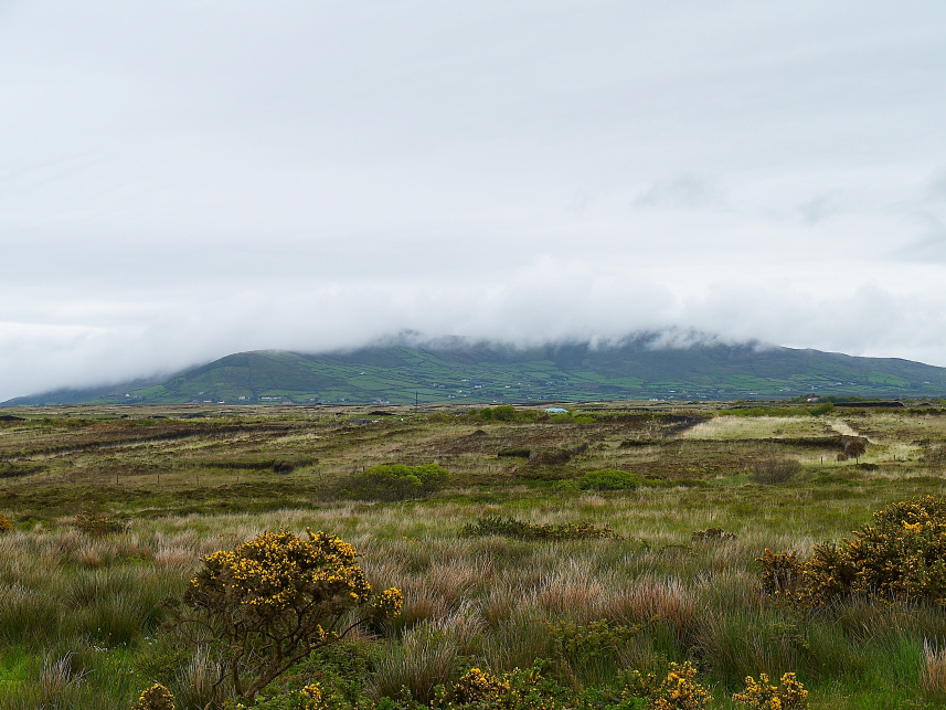 Landschaft in Wolken eingehüllt / Irland - Ring of Kerry