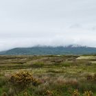 Landschaft in Wolken eingehüllt / Irland - Ring of Kerry