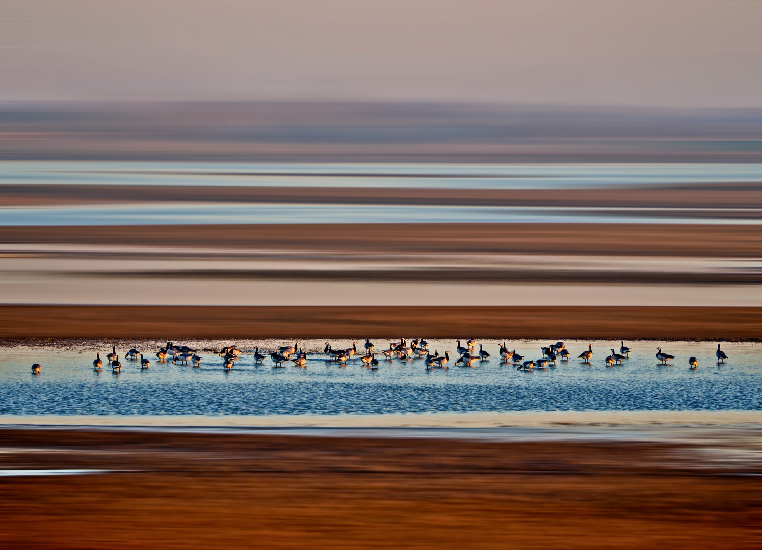 Landschaft in Zeeland 