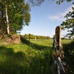 Landschaft in Zetel