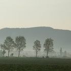 Landschaft irgendwo in Ungarn