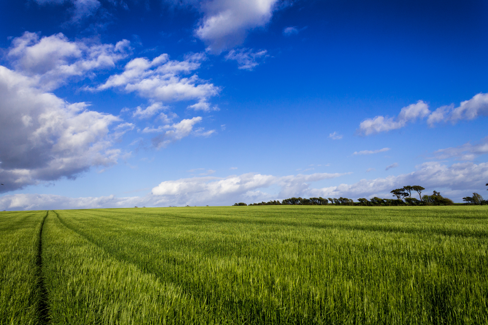 Landschaft Irland #1