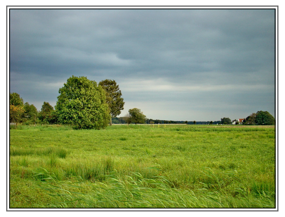 Landschaft Karlshagen