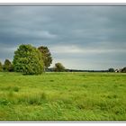 Landschaft Karlshagen