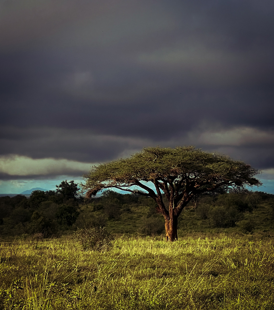 Landschaft Kenia