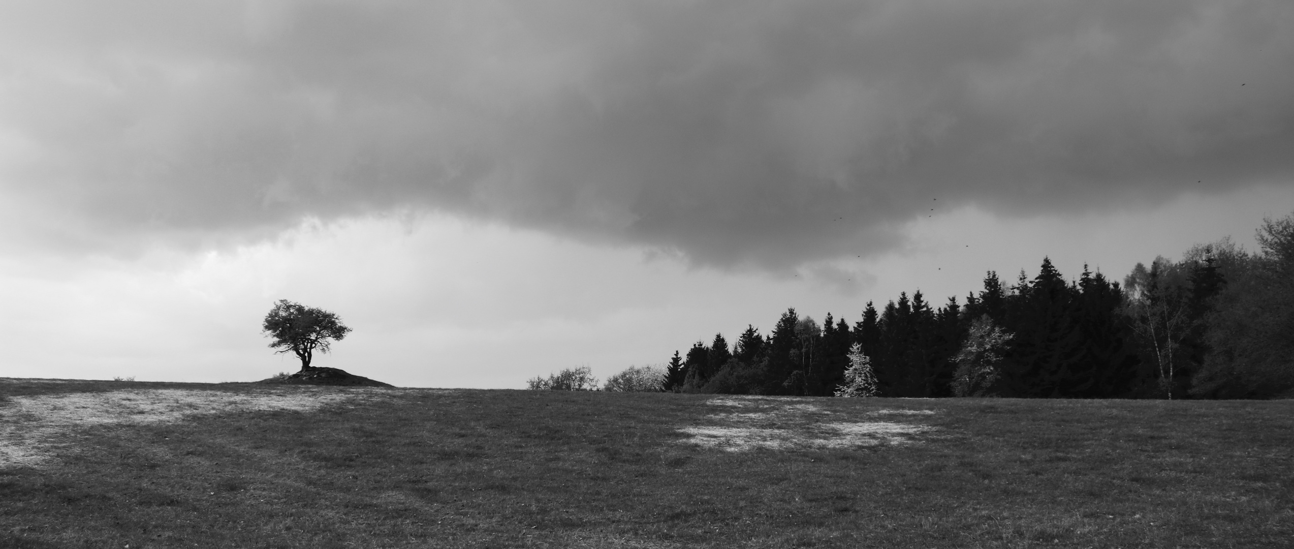 ... Landschaft kurz vor dem Regen ...