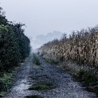 landschaft, landscape, herbst, outdoor