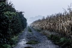 landschaft, landscape, herbst, outdoor