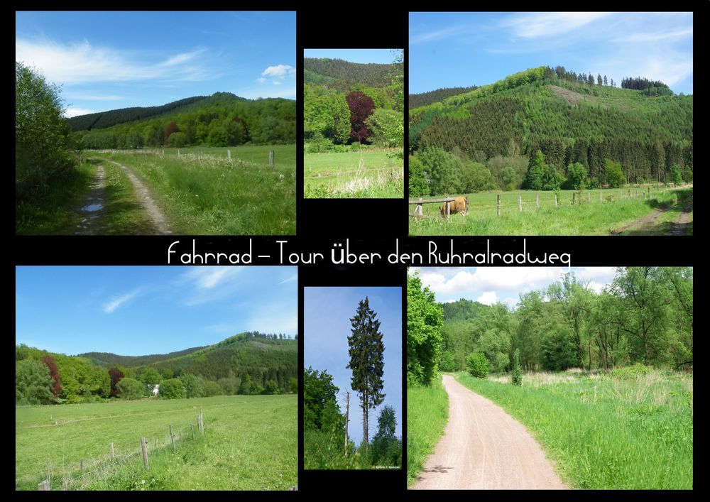 Landschaft links und rechts vom Ruhrtalradweg