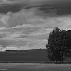 Landschaft Lüneburger Heide bei Natendorf