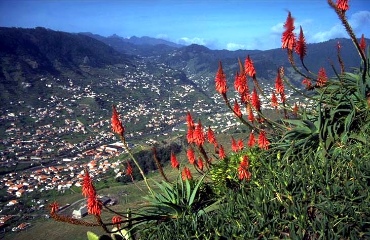 Landschaft - Madeira