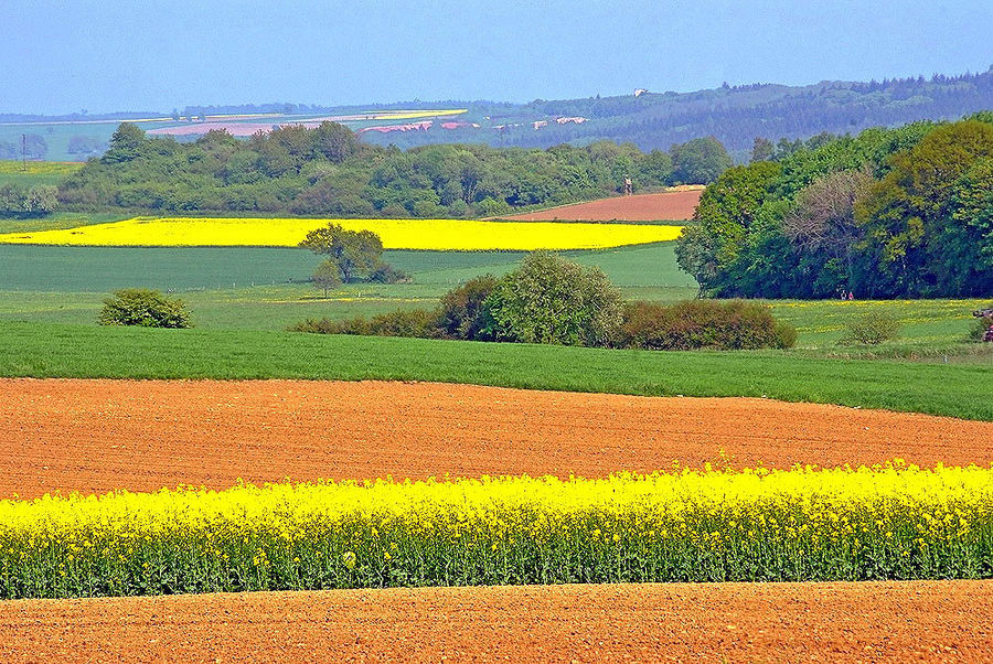 Landschaft Malen Foto Bild Deutschland Europe Saarland Bilder Auf Fotocommunity