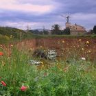 Landschaft Mallorca- Blick durchs Gras