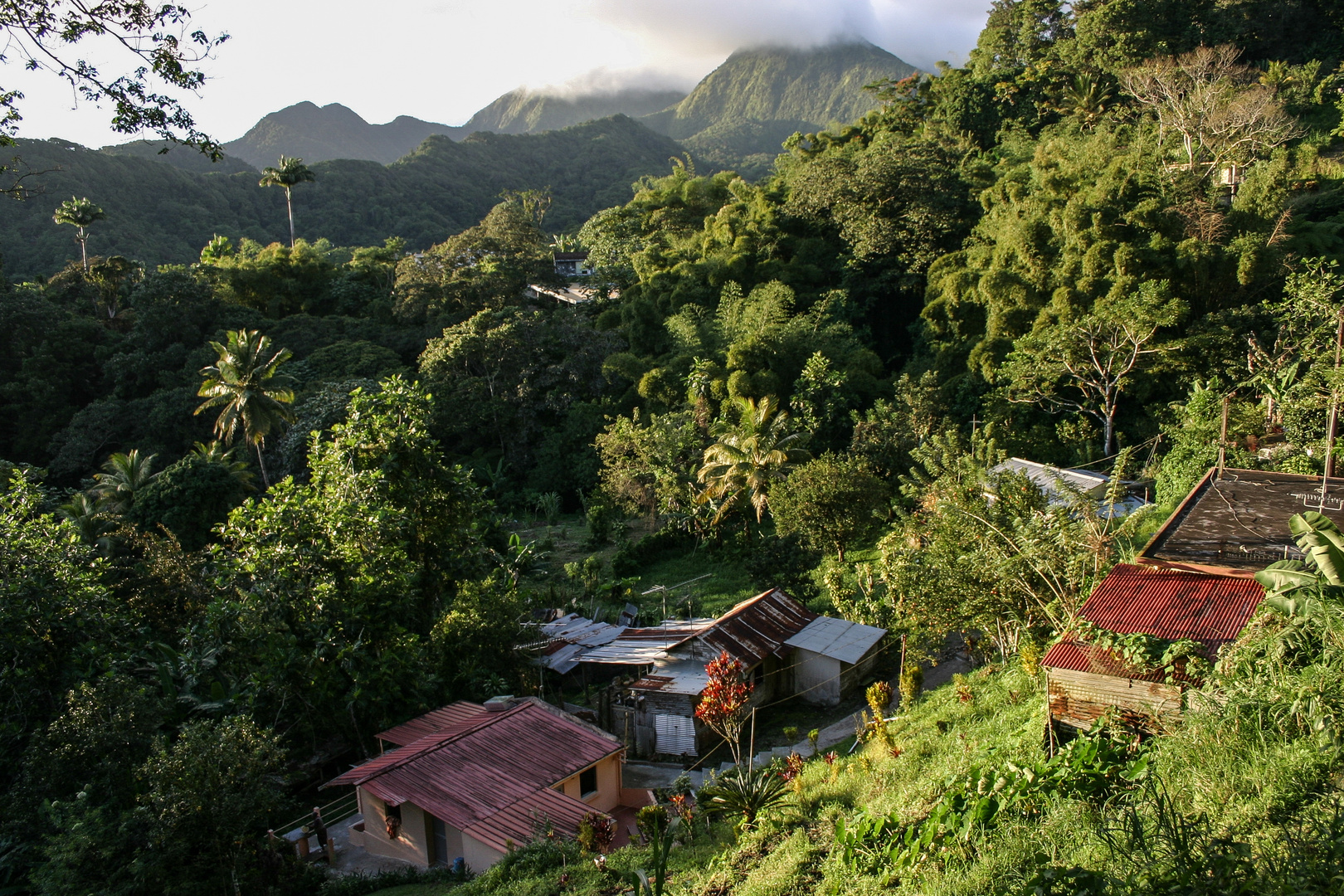 Landschaft Martinique Caribic