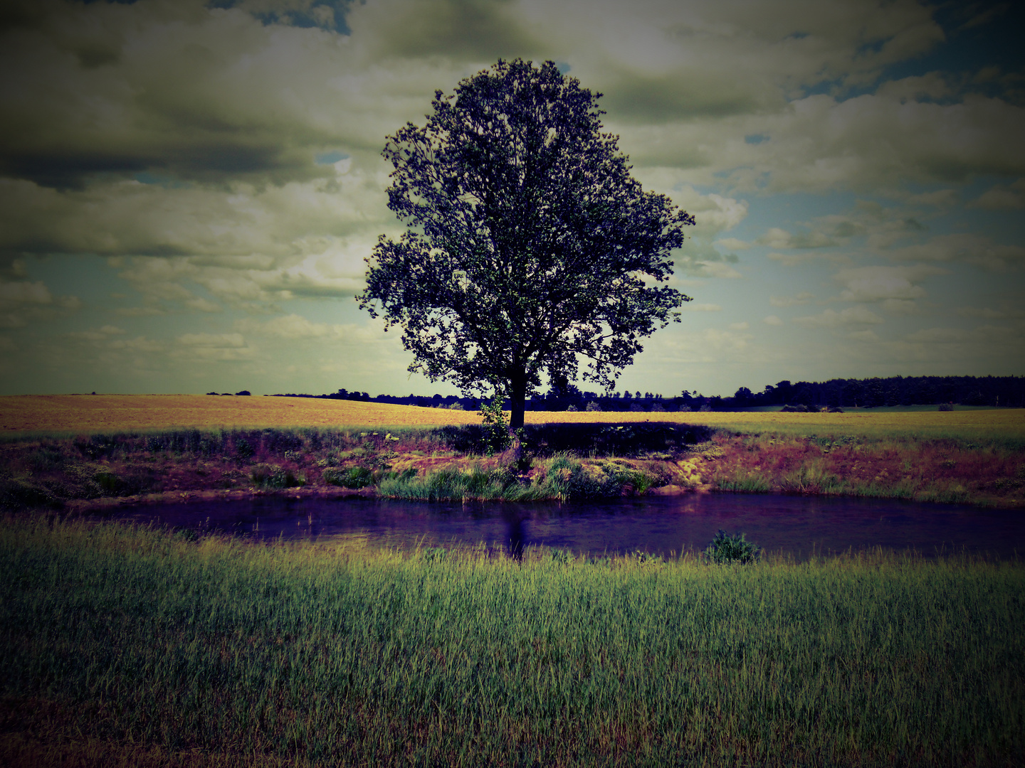 Landschaft (Mecklenburg - Vorpommern)