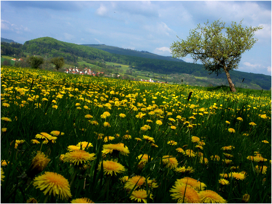 Landschaft meiner Kindheit