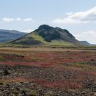 Landschaft mit 2 Schafen in Island