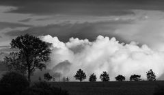 landschaft mit bäumen ..