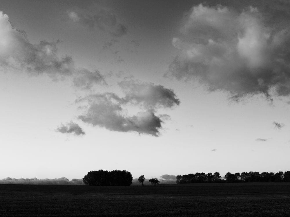 landschaft mit bäumen ...