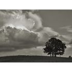 Landschaft mit Baum