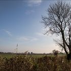 Landschaft-mit-Baum