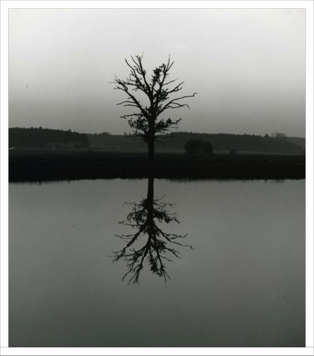 Landschaft mit Baum.