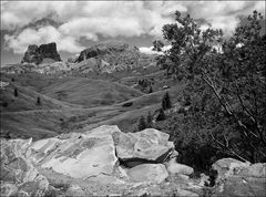 Landschaft mit Baum