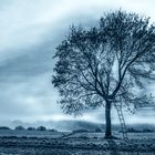 Landschaft mit Baum