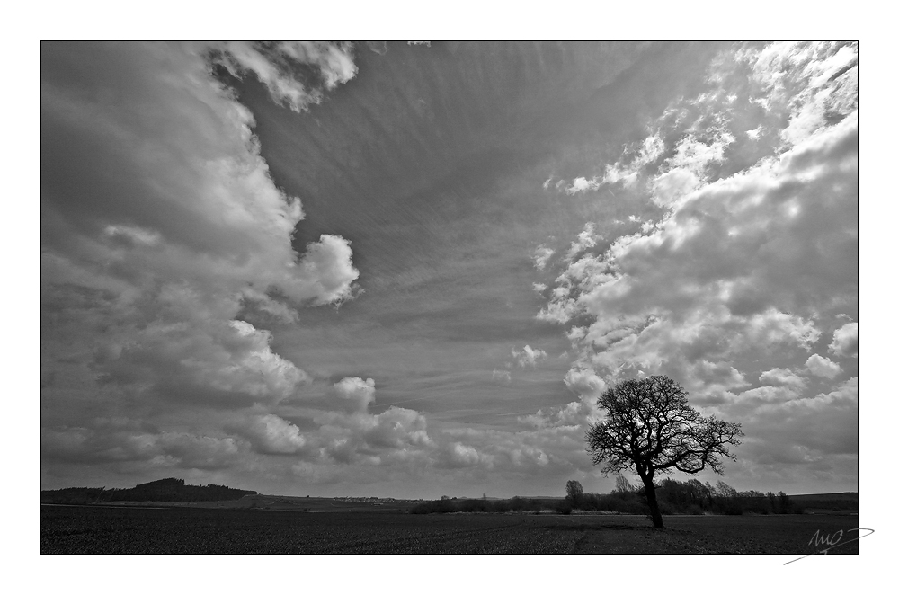 [..Landschaft mit Baum - monochrom..]