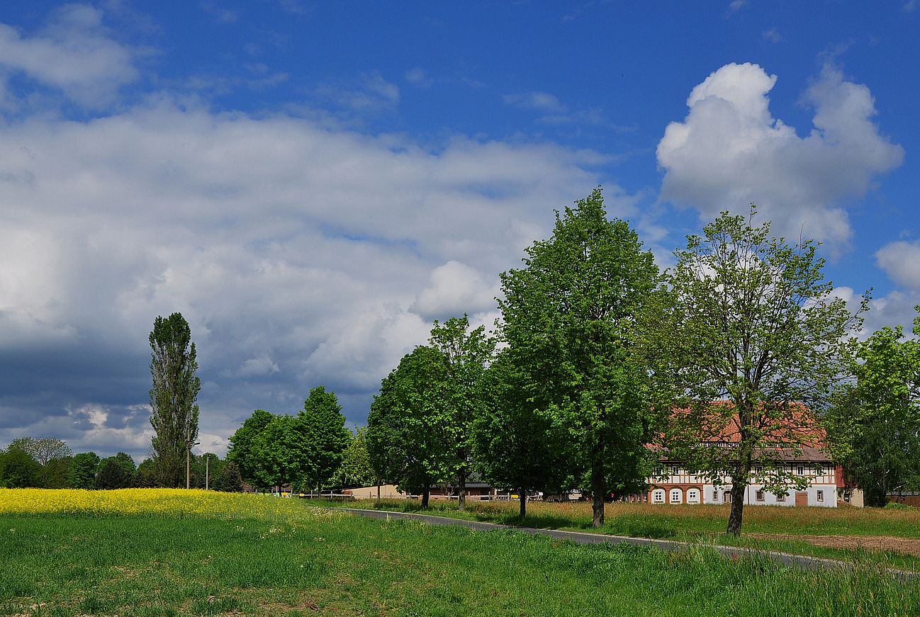 Landschaft mit blauem Himmel