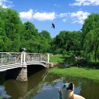 Landschaft mit Brücke (KI-Bilder)