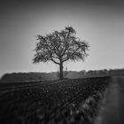 Landschaft mit dem Lensbaby