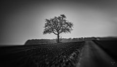 Landschaft mit dem Lensbaby