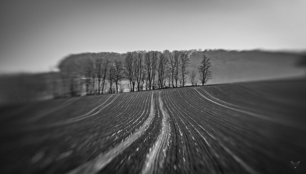 Landschaft mit dem Lensbaby