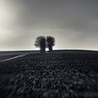 Landschaft mit dem Lensbaby