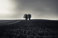 Landschaft mit dem Lensbaby