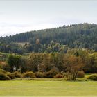 Landschaft mit einem Hochsitz