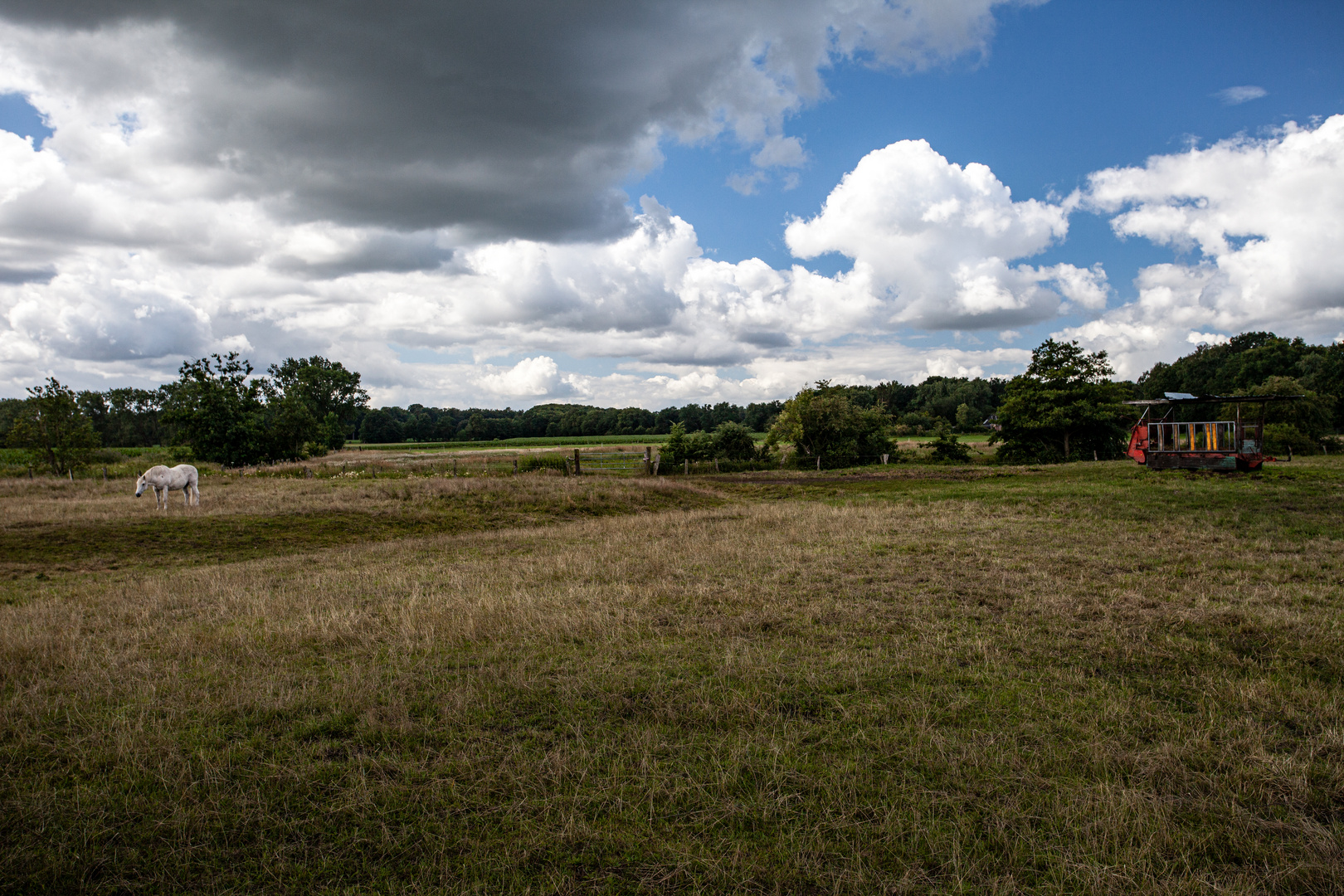 Landschaft mit einsamem Pferd