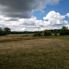 Landschaft mit einsamem Pferd