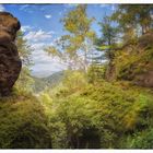 Landschaft mit Felsen