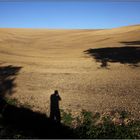 Landschaft mit Fotograf, nr.0295