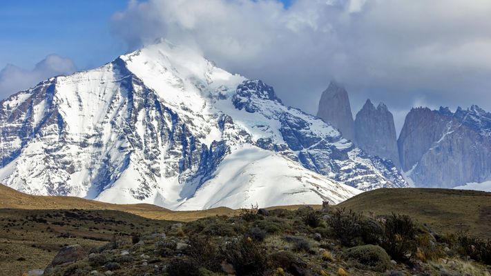Landschaft mit getarnten Vierbeinern
