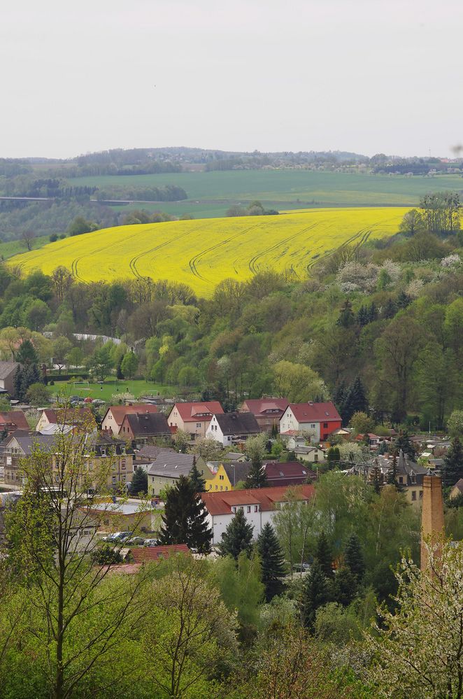 Landschaft mit Häusern und Rapsfeld