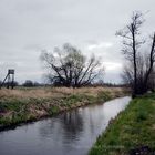 LANDSCHAFT MIT HOCHSITZ BEI SAARMUND