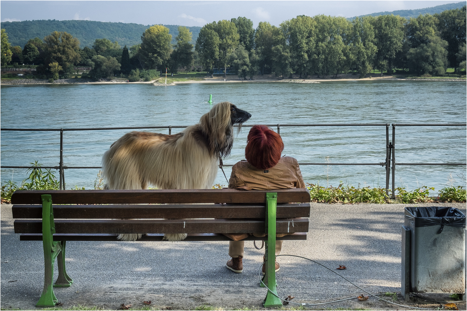 Landschaft mit Hund