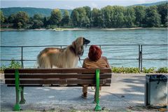 Landschaft mit Hund