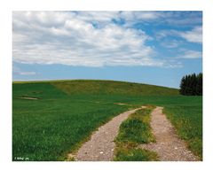 Landschaft mit Kühen