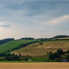 Landschaft mit Kühen