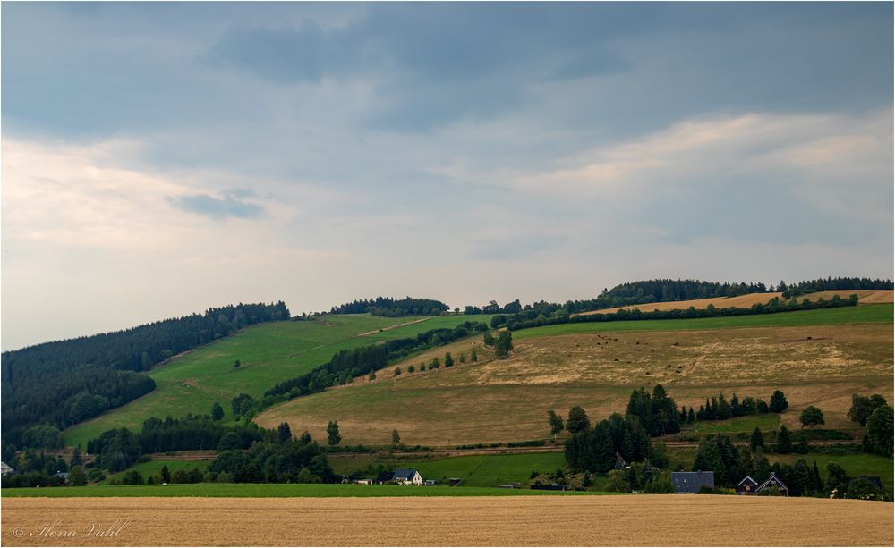 Landschaft mit Kühen