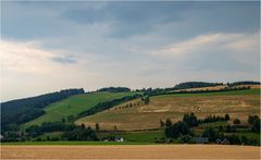 Landschaft mit Kühen